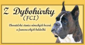 www.zdybohurky.cz